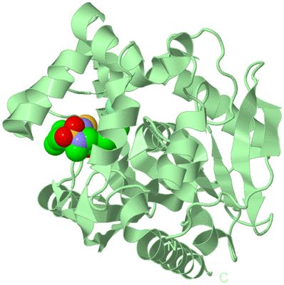 Image Biological Unit 2