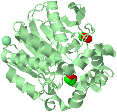 Image Biological Unit 2