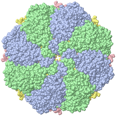 Image Biol. Unit 1 - sites