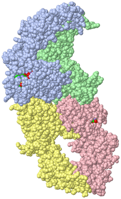 Image Asym. Unit - sites