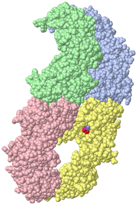 Image Asymmetric Unit