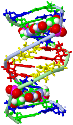 Image NMR Structure - model 1