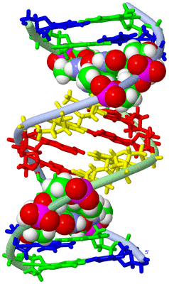 Image NMR Structure - model 1