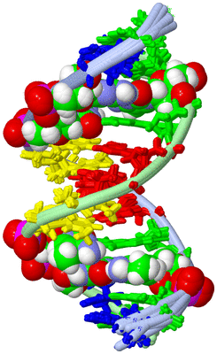 Image NMR Structure - all models