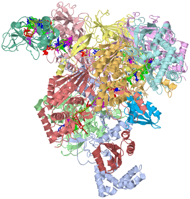 Image Biological Unit 1