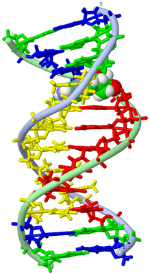 Image NMR Structure - model 1