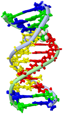 Image NMR Structure - all models