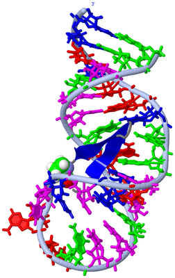 Image NMR Structure - model 1