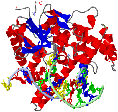 Image Asym./Biol. Unit