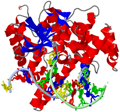 Image Asym./Biol. Unit