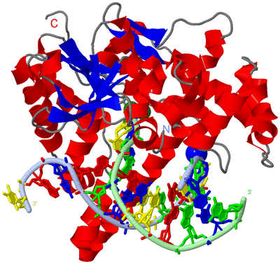 Image Asym./Biol. Unit