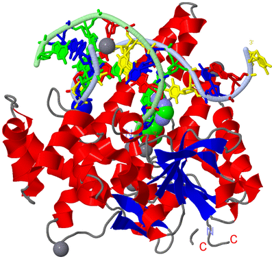 Image Asym./Biol. Unit