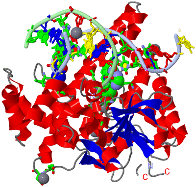 Image Asym./Biol. Unit - sites