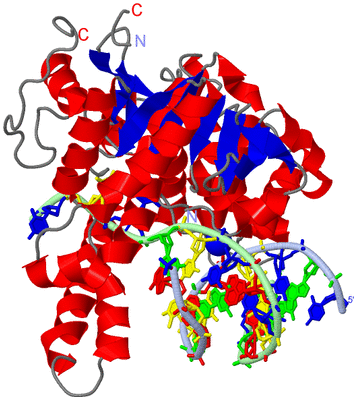 Image Asym./Biol. Unit