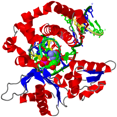 Image Asym./Biol. Unit