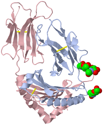 Image Biological Unit 2