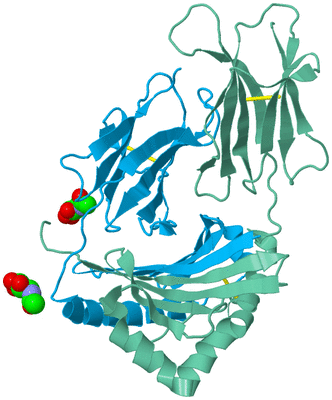 Image Biological Unit 4