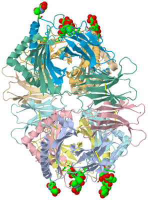 Image Asym. Unit - sites