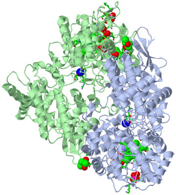 Image Asym./Biol. Unit - sites