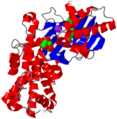 Image Asym./Biol. Unit