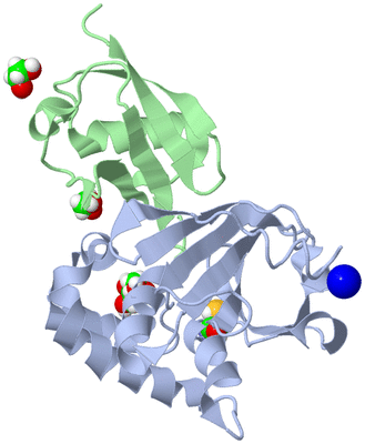 Image Biological Unit 1