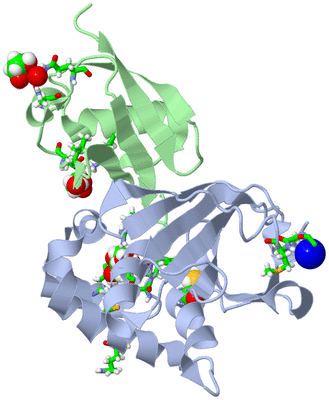 Image Biol. Unit 1 - sites