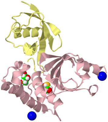 Image Biological Unit 2