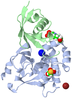 Image Asym./Biol. Unit