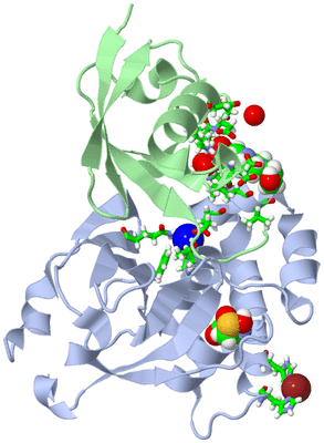 Image Asym./Biol. Unit - sites