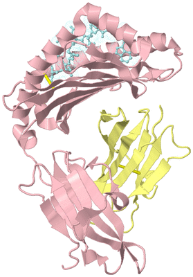 Image Biological Unit 2