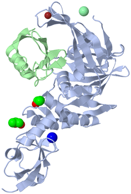 Image Asym./Biol. Unit