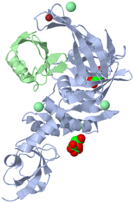 Image Asym./Biol. Unit