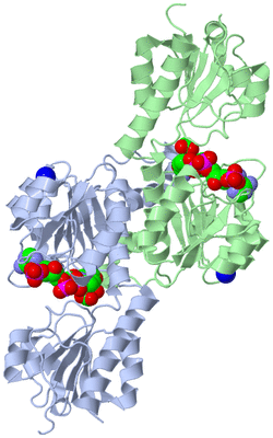 Image Biological Unit 1