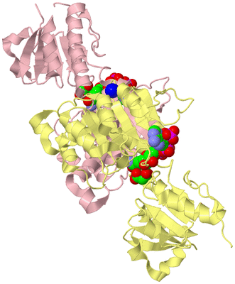 Image Biological Unit 2