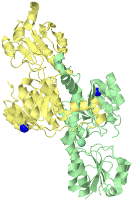 Image Biological Unit 2