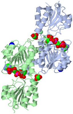 Image Biological Unit 1