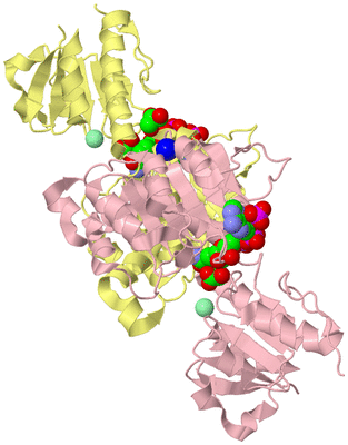 Image Biological Unit 2