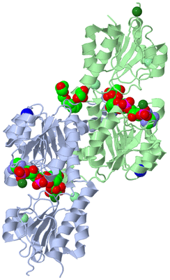 Image Biological Unit 1