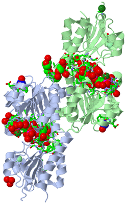 Image Biol. Unit 1 - sites