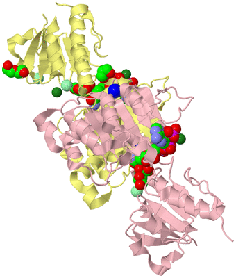 Image Biological Unit 2