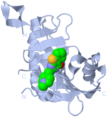 Image Biological Unit 1