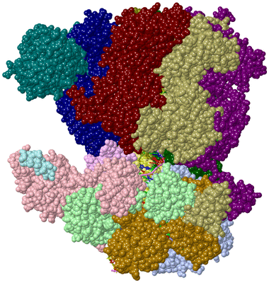 Image Asym./Biol. Unit - sites