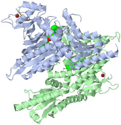 Image Asym./Biol. Unit