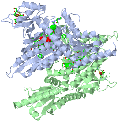 Image Asym./Biol. Unit - sites