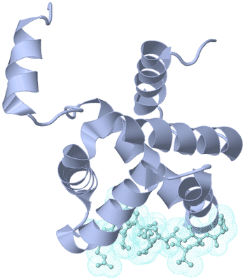 Image Biological Unit 1