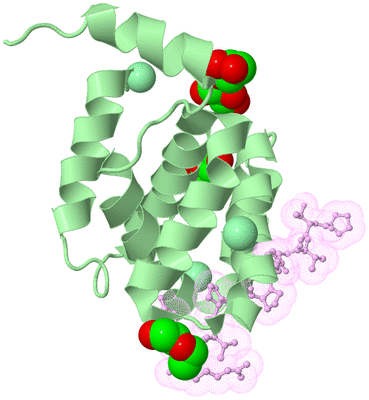 Image Biological Unit 2