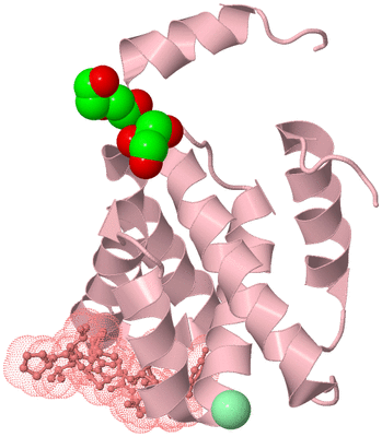 Image Biological Unit 3