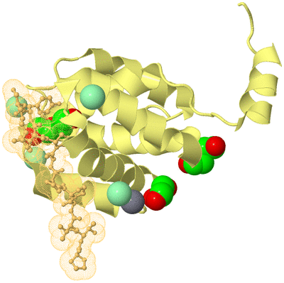 Image Biological Unit 4