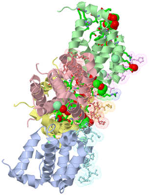 Image Asym. Unit - sites