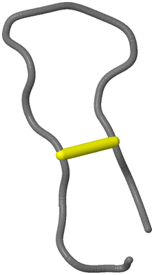 Image NMR Structure - model 1